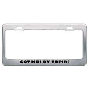 Got Malay Tapir? Animals Pets Metal License Plate Frame Holder Border 