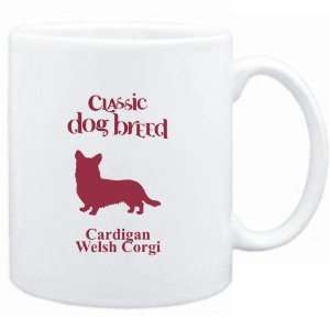   Classic Dog Breed Cardigan Welsh Corgi  Dogs