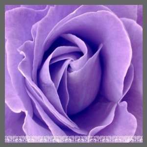  Wedding Purple Violet Rose   Lace Silver Trim Postage 