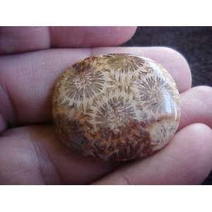  S3009 Brownish Coral Fossil Agate Flower Cabochon 