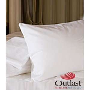  Night Sweat Control  Queen Pillow Covers (2)