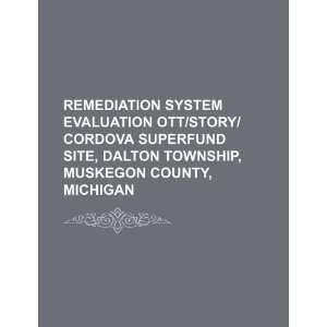  Remediation system evaluation OTT/Story/Cordova Superfund site 