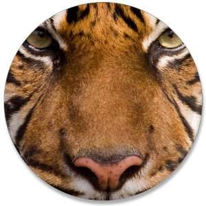  3.5 Button Sumatran Tiger Face 