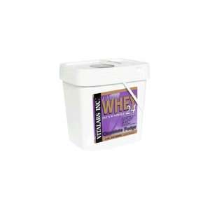 Vitalabs Ultra Whey Protein Powder 24 with Stevia, Strawberry and 