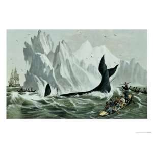  Capturing the Whale Giclee Poster Print