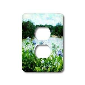   Of View   Light Switch Covers   2 plug outlet cover