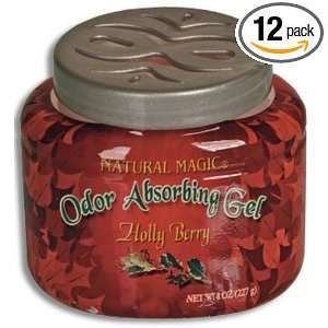 Magic American Natural Magic Decorative Odor Absorbing Gels   Holly 