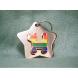  Sterling Silver Star and Pride Cat