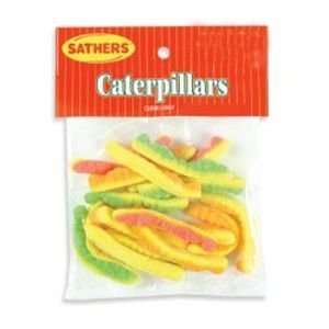 Sathers Caterpillars (Pack of 12)  Grocery & Gourmet Food