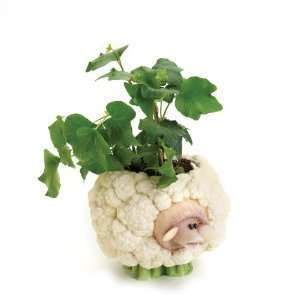  Enesco Home Grown Cauliflower Sheep Planter Potted Plant 