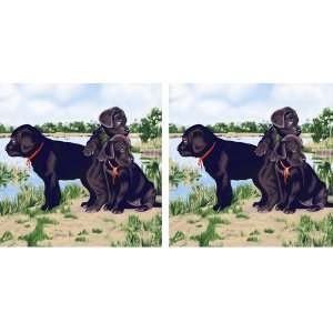  Black Labrador Puppies Queen Size Mink Style Blanket Set 