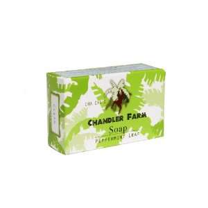  Cha Chas Peppermint Leaf Bar Soap Beauty