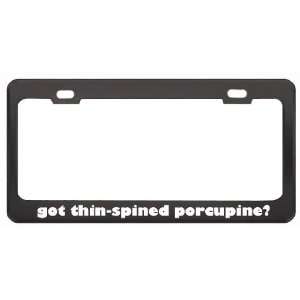 Got Thin Spined Porcupine? Animals Pets Black Metal License Plate 