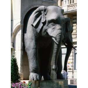 Elephant Fountain, Chambery, Rhone Alpes, France Places Photographic 