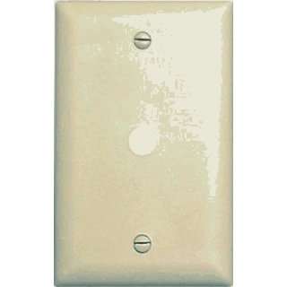  IVY1G Teleph Wall Plate
