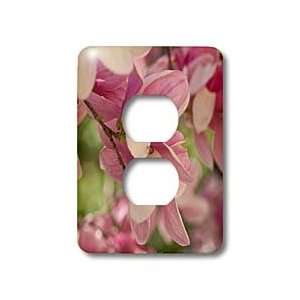   Saucer Magnolias 2011 III   Light Switch Covers   2 plug outlet cover