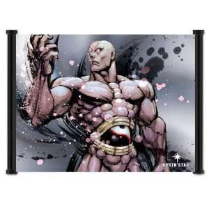  Street Fighter IV 4 Seth Game Fabric Wall Scroll Poster 