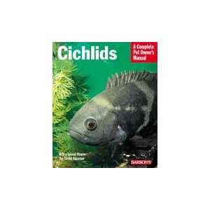  Top Quality Cichlids