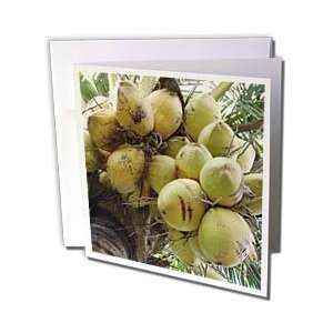  Florene Nature   Under The Coconut Palm   Greeting Cards 6 