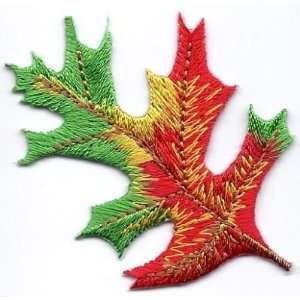  Autumn Leaf/Iron On Applique/Orange, Gold & Green Leaf 