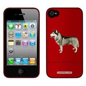  Siberian Husky on AT&T iPhone 4 Case by Coveroo  