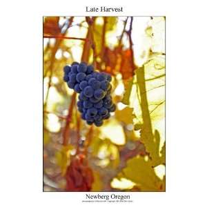  Late Harvest, Newberg Oregon