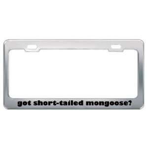 Got Short Tailed Mongoose? Animals Pets Metal License Plate Frame 