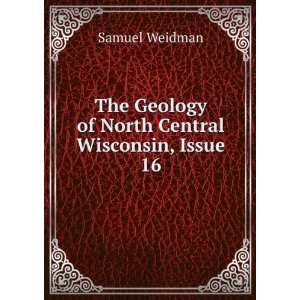   Geology of North Central Wisconsin, Issue 16 Samuel Weidman Books
