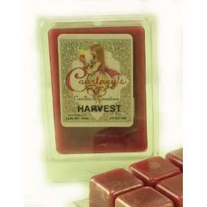    HARVEST Mixer Melt or Wax Tart by Courtneys Candles