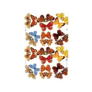  Pretty Butterfly Specimen Scraps ~ England