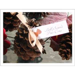  Scented Pine Cone Favor Sachets Toys & Games