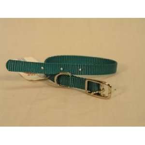   Hamilton Deluxe 3/8 S/T Nylon Dog Collar, Teal, 12