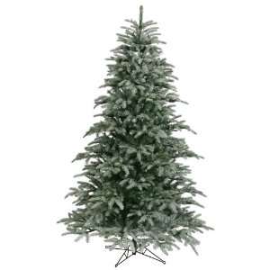  6.5 x 54 Frosted Frasier Tree 1389T