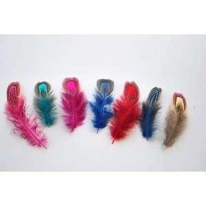 200pcs/lot diy feather pheasant feather 63cm #7colour  