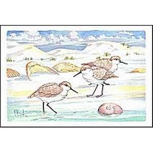  Shell Island Sandpipers Poster Print