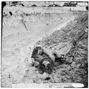  Petersburg,Virginia. Dead Confederate soldier in trenches 