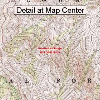  USGS Topographic Quadrangle Map   Deadhorse Ridge, Oregon 