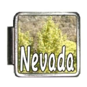  Nevada State Flower Sagebrush Photo Italian Charm Bracelet 