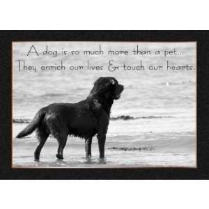  Pet Dog Sympathy Card   Touch Our Hearts Health 