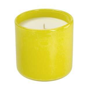  Lafco Guest Room Candle   Daffodil