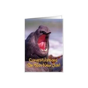  Congratulations On your New Job Dentist greeting card,sea 