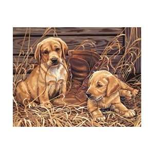  Dimensions Crafts Paint By Number Kit 14x11 Puppies 