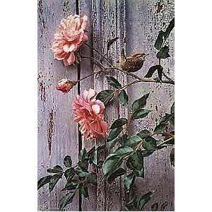  Carl Brenders   Summer Roses Winter Wren