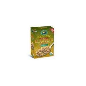Natures Path Organic Flax Plus W/P Grocery & Gourmet Food