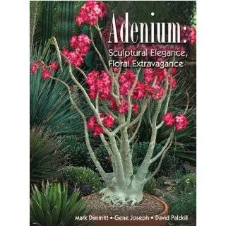 adenium sculptural elegance floral extravagance by mark dimmitt gene 