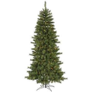  6 Multi Pre Lit Bradford Fir Christmas Tree