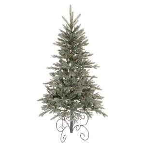  5 x 34 Blue Jersey Frasier Christmas Tree Dura Lit 200 