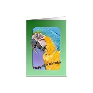  15th Birthday Card with Macaw Bird Card Toys & Games