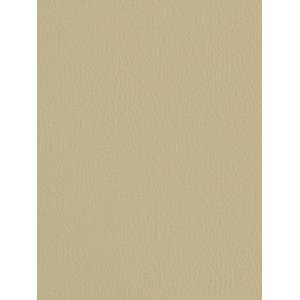 Ananzi Ivory by Robert Allen Contract Fabric 