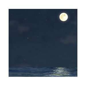   Collection   12 x 12 Paper   Moonlight Night Arts, Crafts & Sewing